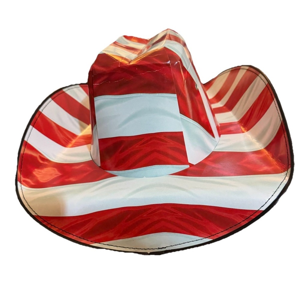 Eagle Stripe Beer Box COWBOY HAT American Flag Carton Novelty Americana New RARE - Picture 6 of 8